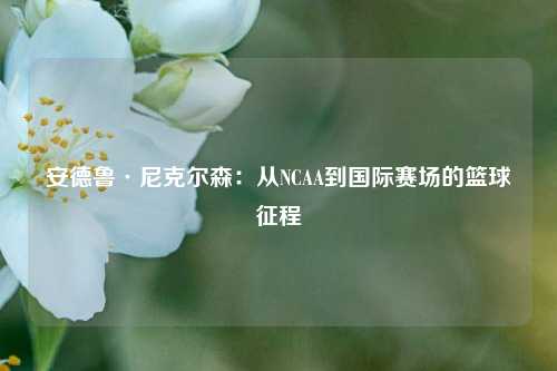 安德鲁·尼克尔森：从NCAA到国际赛场的篮球征程