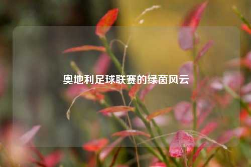 奥地利足球联赛的绿茵风云