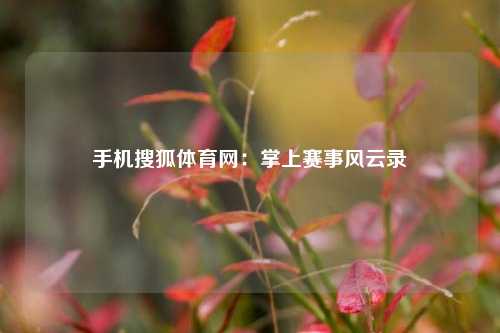手机搜狐体育网：掌上赛事风云录