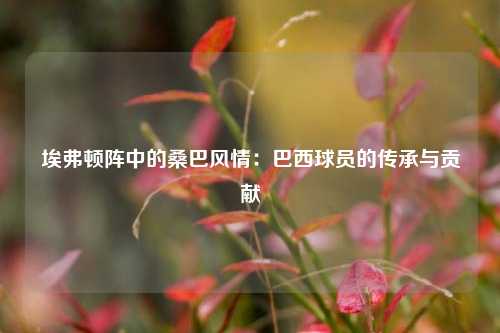 埃弗顿阵中的桑巴风情：巴西球员的传承与贡献