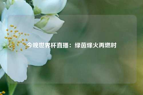 今晚世界杯直播：绿茵烽火再燃时