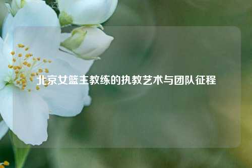 北京女篮主教练的执教艺术与团队征程
