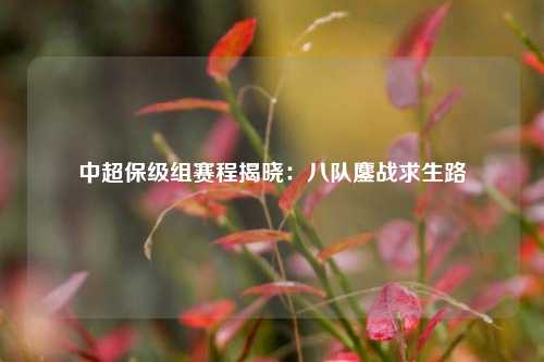 中超保级组赛程揭晓：八队鏖战求生路
