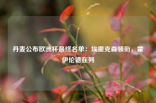 丹麦公布欧洲杯最终名单：埃里克森领衔，霍伊伦德在列