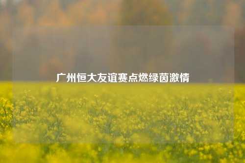 广州恒大友谊赛点燃绿茵激情