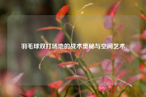 羽毛球双打场地的战术奥秘与空间艺术
