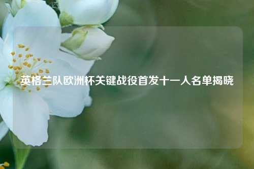 英格兰队欧洲杯关键战役首发十一人名单揭晓