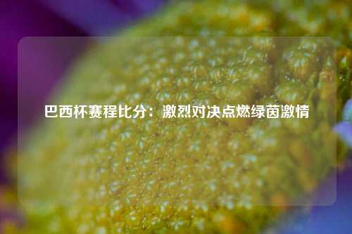 巴西杯赛程比分：激烈对决点燃绿茵激情