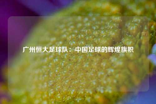 广州恒大足球队：中国足球的辉煌旗帜