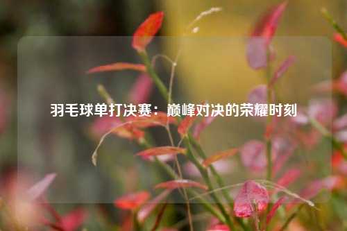 羽毛球单打决赛：巅峰对决的荣耀时刻