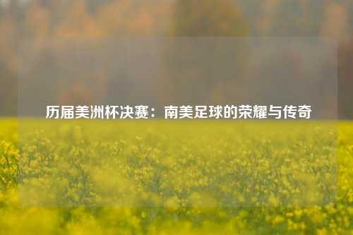  历届美洲杯决赛：南美足球的荣耀与传奇